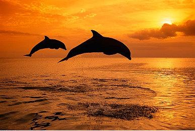 《暗黑4》1.03版更新发布 调整经验值奖励修复Bug等