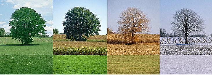 国产单机《演灭》制作人：在PS5上目标实现60帧